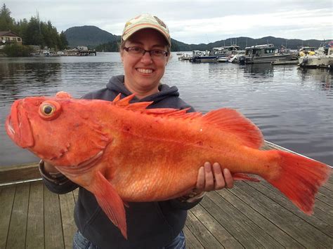Fish Ketchikan .